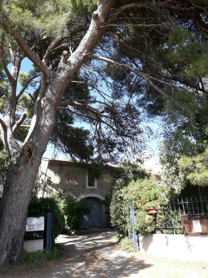 Domaine De La Pinsonniere Villa La Livinière Kültér fotó